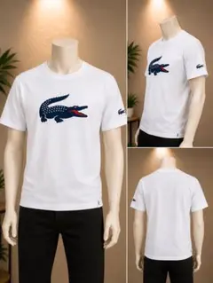LACOSTE ラコステ Tシャツ ホワイト Sサイズ — image 1