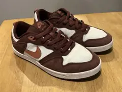 NIKE SB Alleyoop ナイキエスビー アリウープ 24cm — image 1