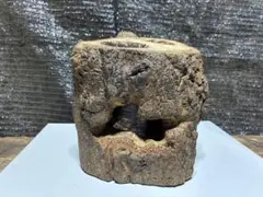 クワガタ　カブトムシ　クワリウム　隠れ屋 — image 1