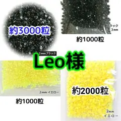 Leo様 ・専用 — image 1