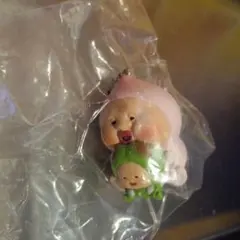 こびとづかん　カクレモモジリコレクション　シークレット — image 1