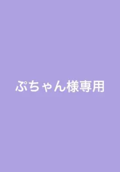 ぷちゃん様専用 — image 1