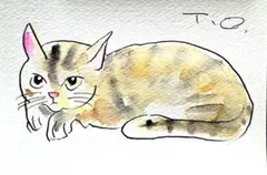 ドローイング水彩画横猫 — image 1