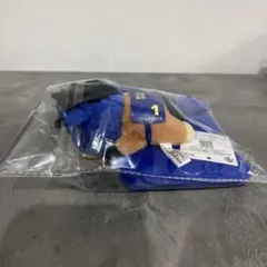 第83回皐月賞 ソールオリエンス ぬいぐるみ付き思い出出馬券キーホルダー — image 1
