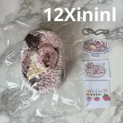 12Xininl アイスクリームせんべい スクイーズ — image 1