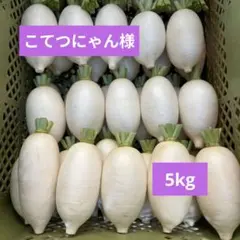 こてつにゃん様専用★辛味大根『おいばね』SМ混合5kg — image 1