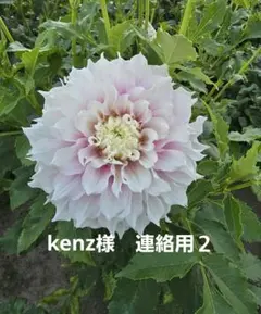 kenz様　連絡用２ — image 1