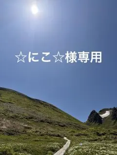 ☆にこ☆様専用 — image 1
