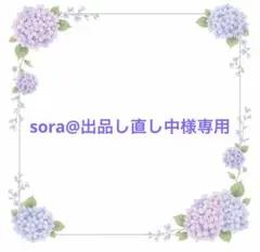 sora@出品し直し中様専用 — image 1