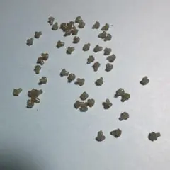 カープフィッシング　フックストップ　50個 — image 1