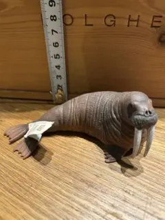 セイウチ フィギュア 動物模型 シュライヒ — image 1