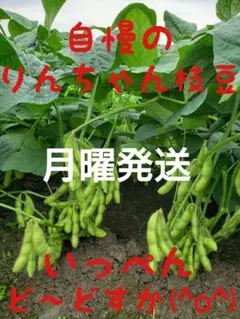 ④枝豆 — image 1
