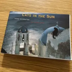CATS IN THE SUN 猫　ポストカード — image 1