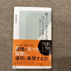 怒っている子どもはほんとうは悲しい : 「感情リテラシー」をはぐくむ — image 1