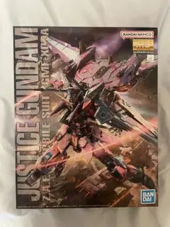 MG 1/100 ジャスティスガンダム — image 1