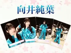 櫻坂46 向井純葉　The growing up train MV — image 1