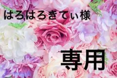 はろはろきてぃ様 専用 — image 1