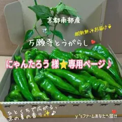 にゃんたろう様⭐️③専用ページ♪♪ — image 1