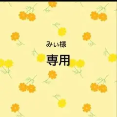 みぃ様　専用おまとめ品 — image 1