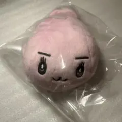 ぱらちゃん 　東芝　両面クリーナー　ぬいぐるみ　ぱぷちゃん　TOSHIBA — image 1