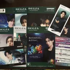 SnowMan目黒蓮さんREGZA カタログ8点＋キャンペーンチラシ1枚　計9点 — image 1