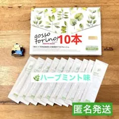 ゴッソトリノ　薬用マウスウォッシュお試し10本セット　ハーブミント味！ — image 1