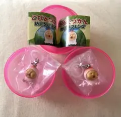 こびとづかん　めじるしフレンズ　カクレモモジリ2個セット　めじるしアクセサリー — image 1