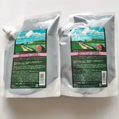 【新品】サニープレイス ザクロ精炭酸シャンプー 800mL×2個 詰替 — image 1