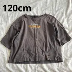 SHISKY キッズ半袖Tシャツ 120cm チャコールグレー カットソー — image 1