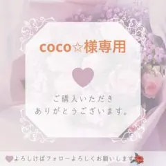 coco✩様専用 — image 1