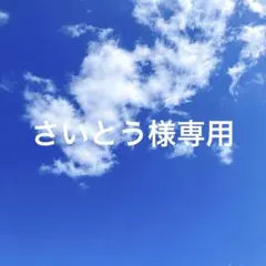 さいとう様専用 — image 1