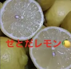 瀬戸田レモン — image 1
