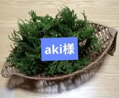 ６/２９発送 　　　　　　　　　aki様専用 — image 1