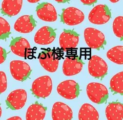 ぽぷ様専用 — image 1