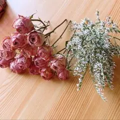 ❇️今だけ‼️デュモサ付き⭐️まぁるいコロン❣️ — image 1