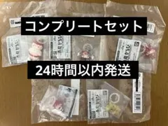 赤見かるび めじるしアクセサリー コンプリートセット — image 1