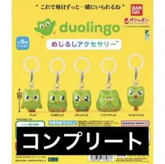 duolingo めじるしアクセサリー — image 1