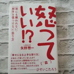 怒ってはいけない！？ 矢野惇一著 — image 1