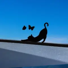 『こっそりカーステッカー』お散歩ねこ — image 1