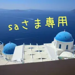 saさま専用 — image 1