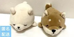 【匿名配送】　LIV HEART りぶはあと　犬　くま　ぬいぐるみ — image 1