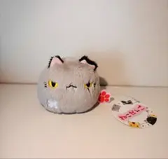 ⭐︎最終値下げ⭐︎美品⭐︎タグ付き⭐︎ねこだんご　わる — image 1