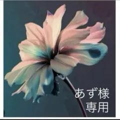 あず様　専用 — image 1