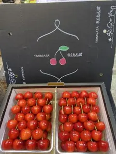 東北関東エリア限定　紅秀峰1kg — image 1