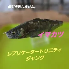 イマカツ レプリケーター トリニティジャンク — image 1