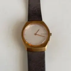 【6/24大幅値下げ！】 SKAGEN スカーゲン　腕時計 レディース — image 1