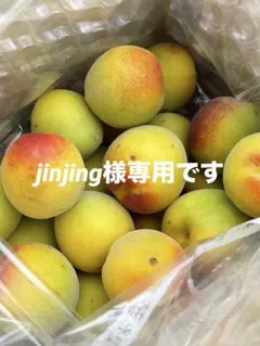 jinjing様専用品 — image 1