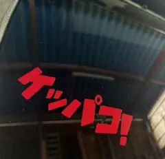 ✨カッティングステッカー✨簡単に貼れます！ケッパコステッカー — image 1