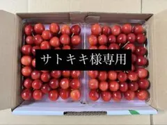 サトキキ様専用 さくらんぼ 2パックセット — image 1