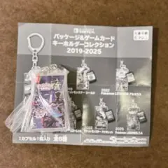 パッケージ＆カートリッジキーホルダーコレクション 2019-2025 Z-A — image 1